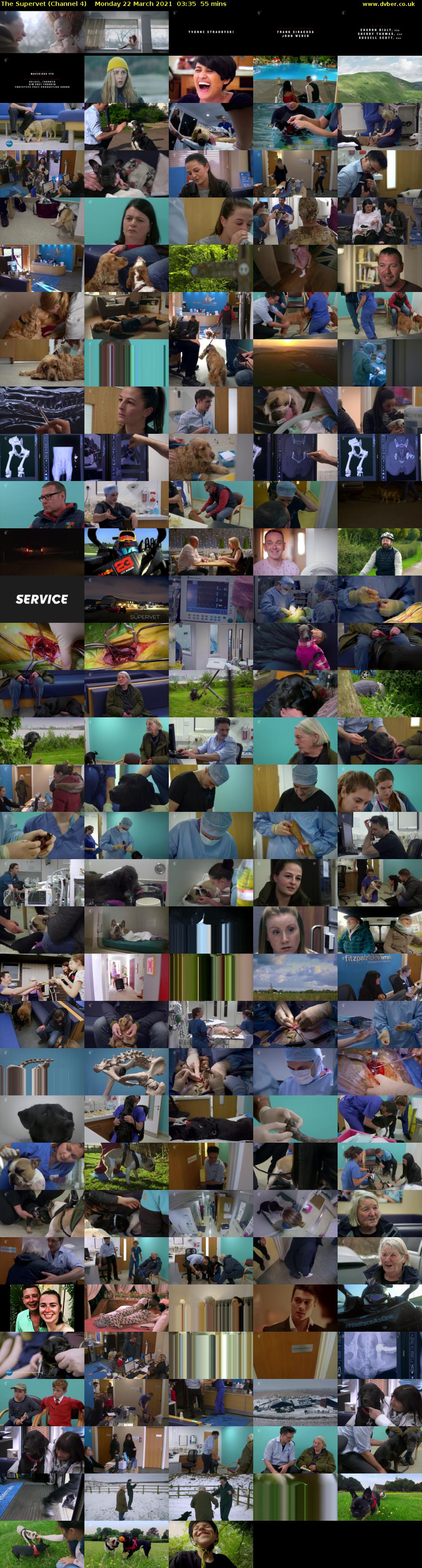 The Supervet (Channel 4) Monday 22 March 2021 03:35 - 04:30
