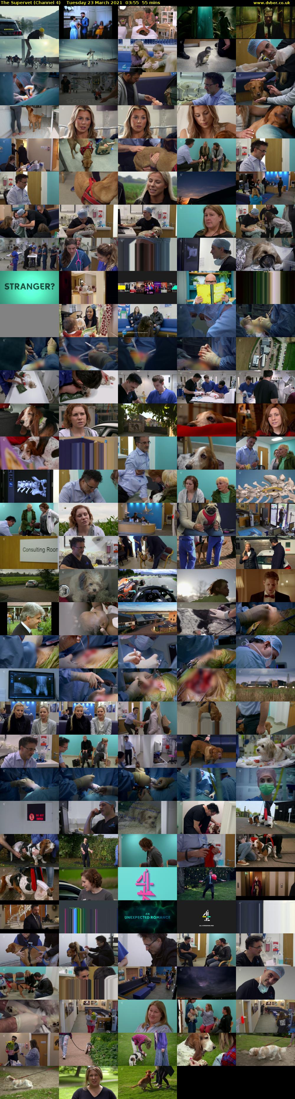 The Supervet (Channel 4) Tuesday 23 March 2021 03:55 - 04:50
