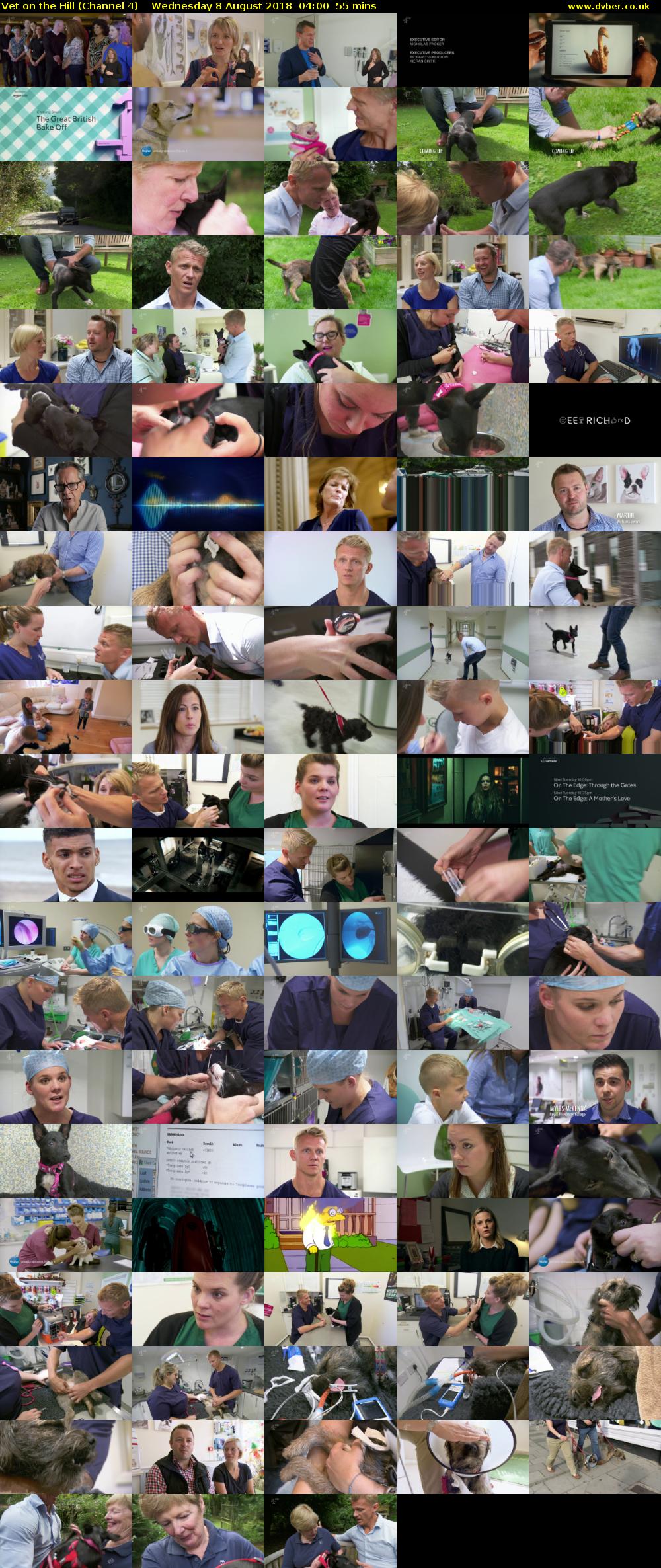 Vet on the Hill (Channel 4) Wednesday 8 August 2018 04:00 - 04:55