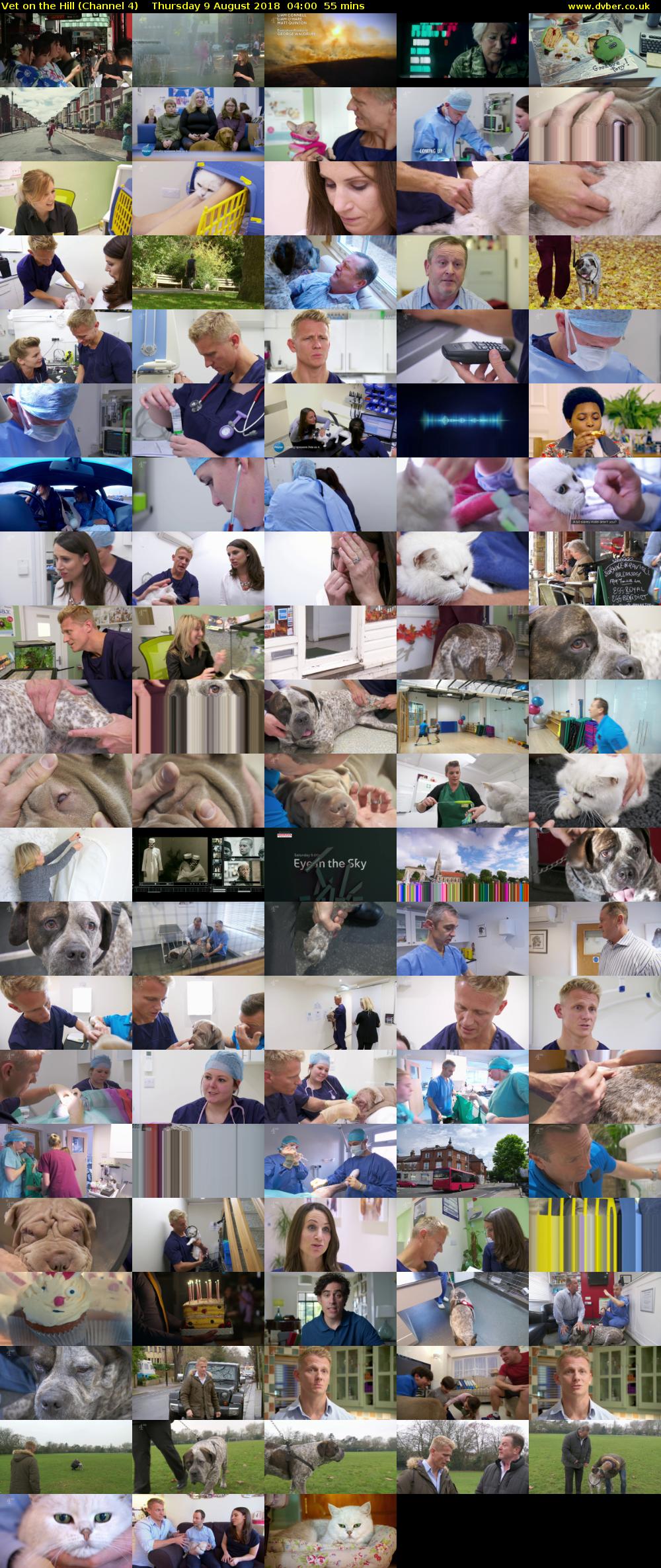 Vet on the Hill (Channel 4) Thursday 9 August 2018 04:00 - 04:55