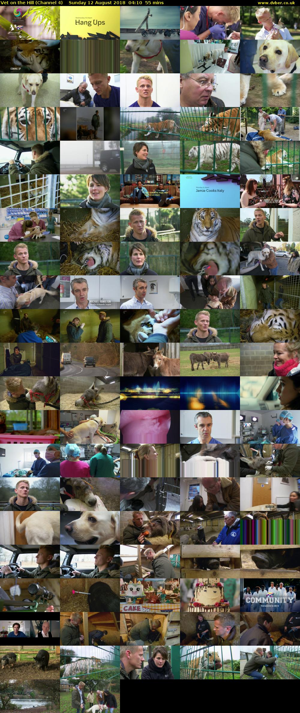 Vet on the Hill (Channel 4) Sunday 12 August 2018 04:10 - 05:05