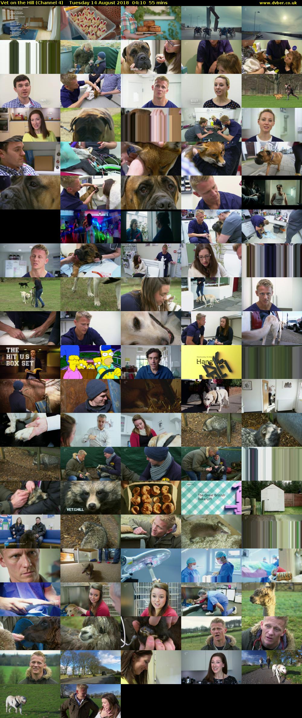 Vet on the Hill (Channel 4) Tuesday 14 August 2018 04:10 - 05:05