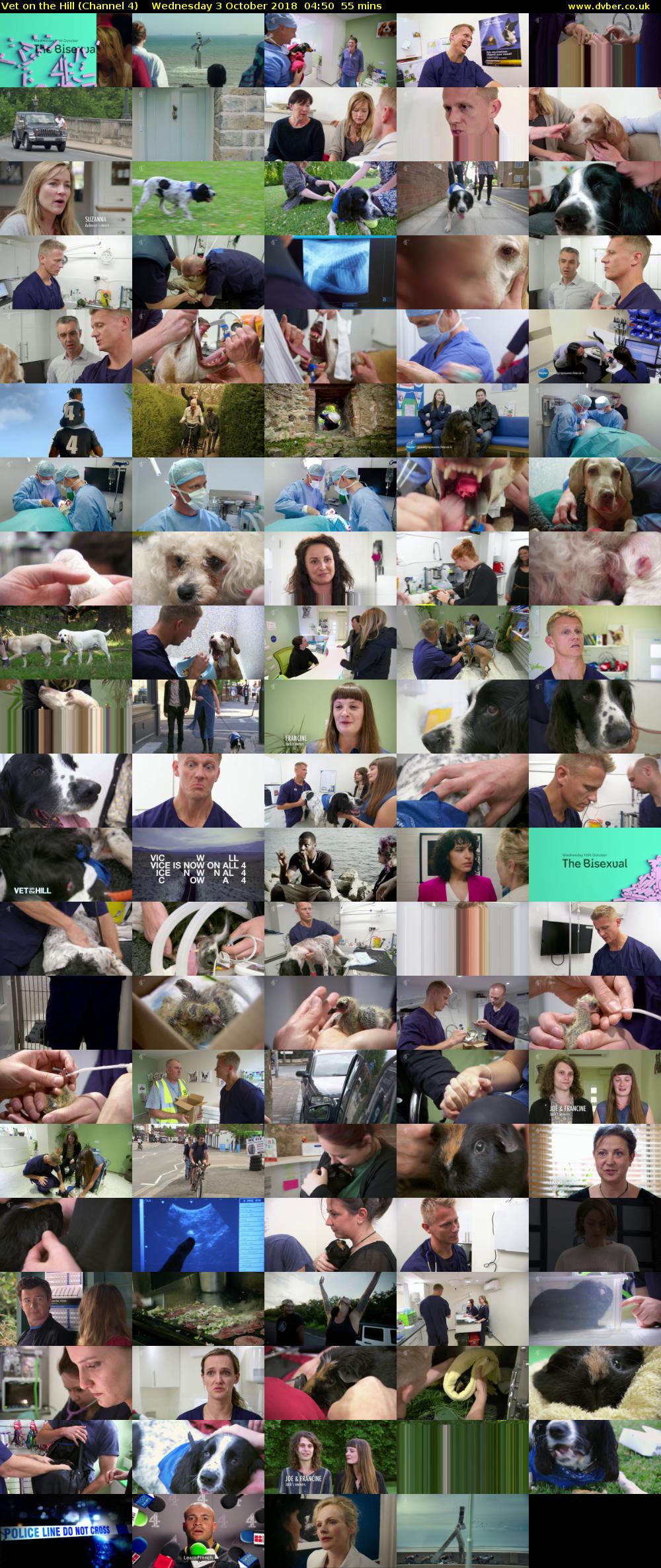Vet on the Hill (Channel 4) Wednesday 3 October 2018 04:50 - 05:45