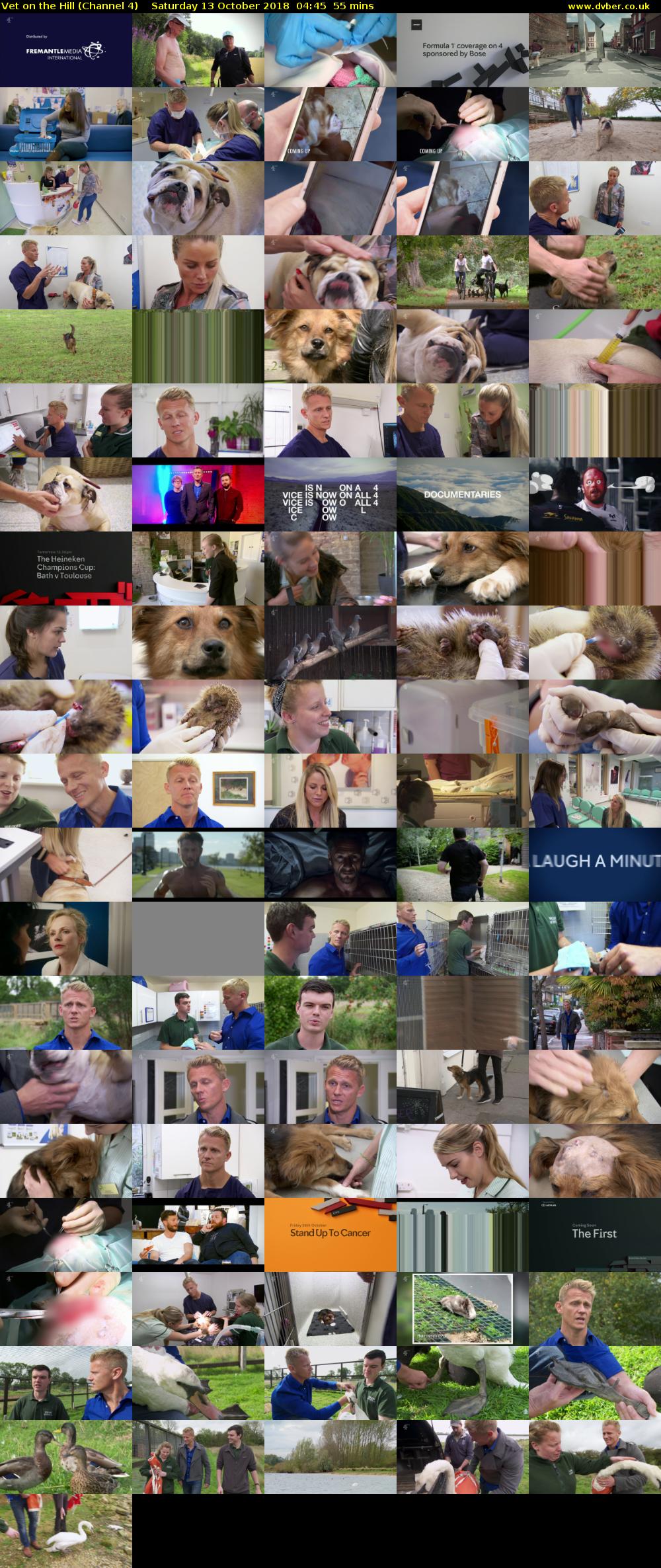 Vet on the Hill (Channel 4) Saturday 13 October 2018 04:45 - 05:40