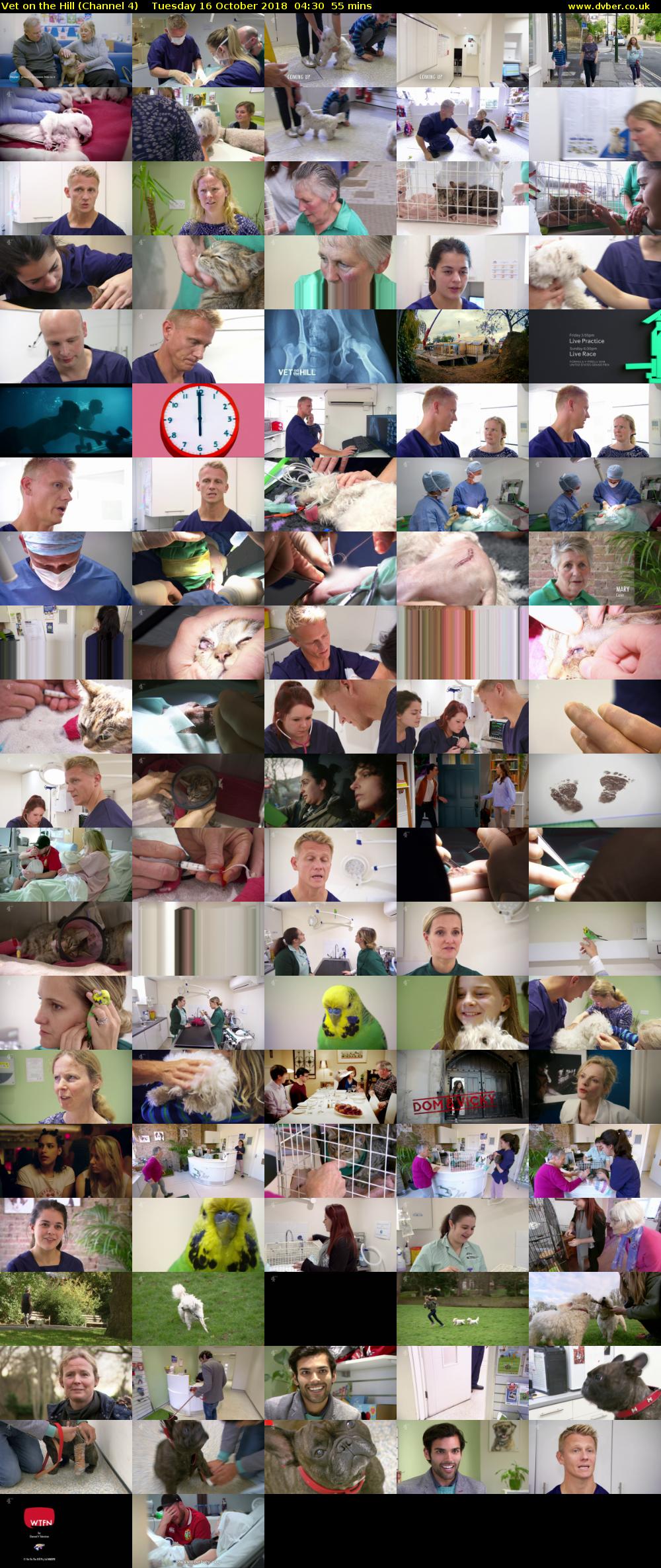 Vet on the Hill (Channel 4) Tuesday 16 October 2018 04:30 - 05:25