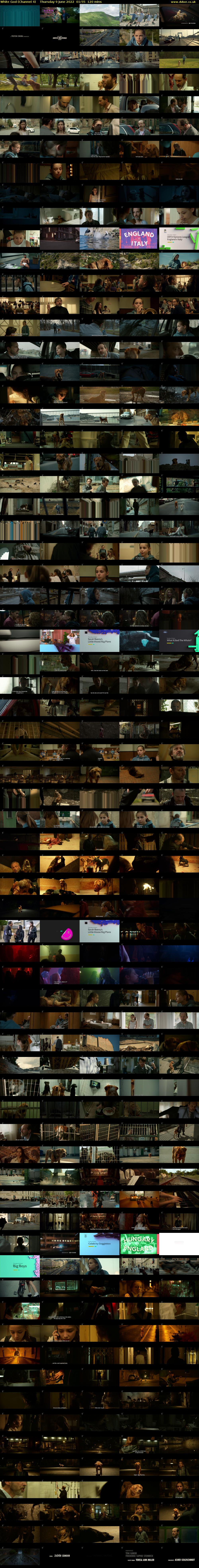 White God (Channel 4) Thursday 9 June 2022 01:55 - 03:55