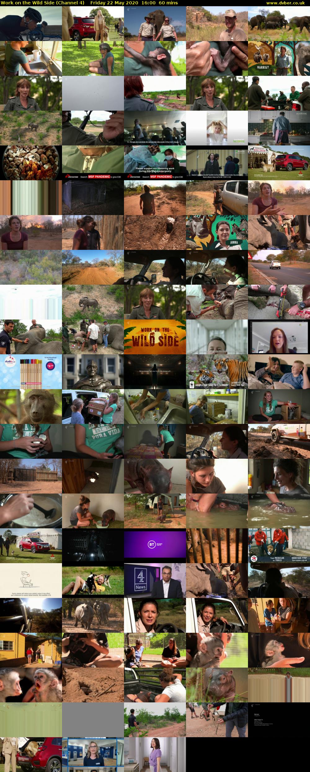 Work on the Wild Side (Channel 4) Friday 22 May 2020 16:00 - 17:00