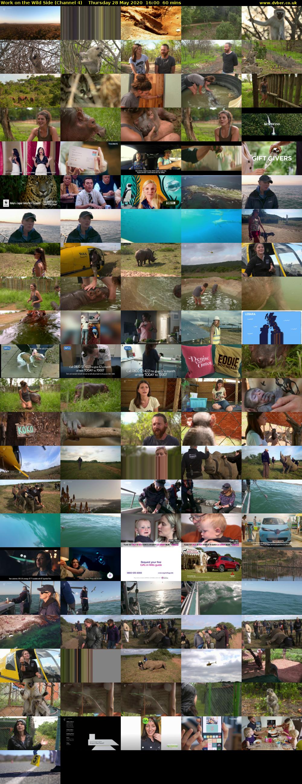 Work on the Wild Side (Channel 4) Thursday 28 May 2020 16:00 - 17:00