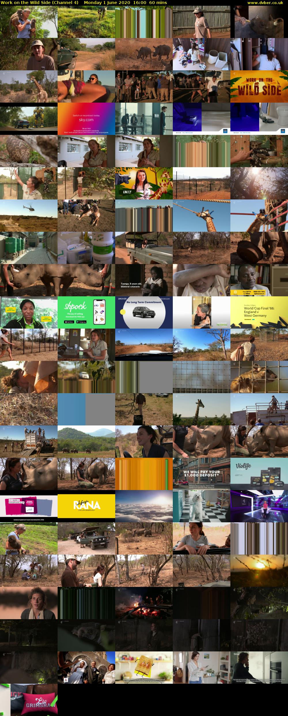 Work on the Wild Side (Channel 4) Monday 1 June 2020 16:00 - 17:00