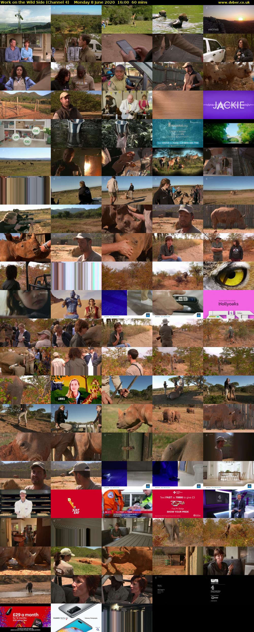 Work on the Wild Side (Channel 4) Monday 8 June 2020 16:00 - 17:00