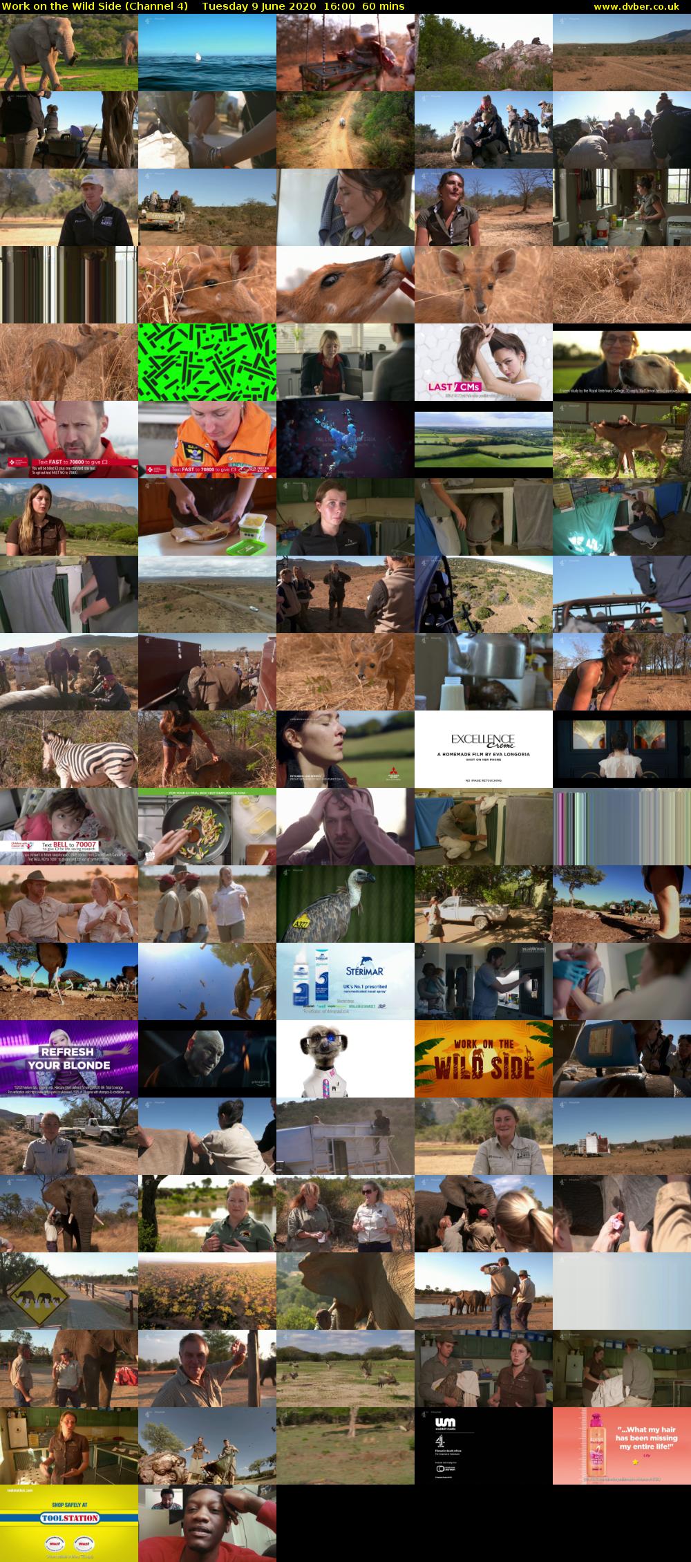 Work on the Wild Side (Channel 4) Tuesday 9 June 2020 16:00 - 17:00