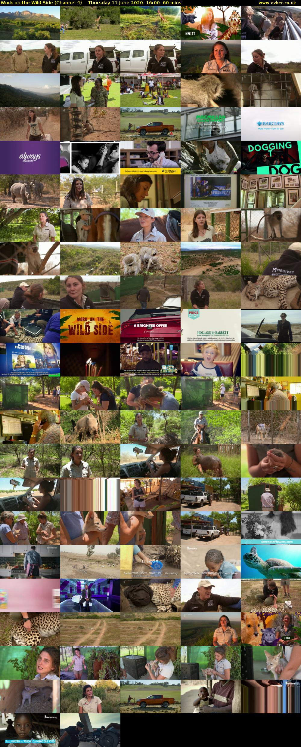 Work on the Wild Side (Channel 4) Thursday 11 June 2020 16:00 - 17:00