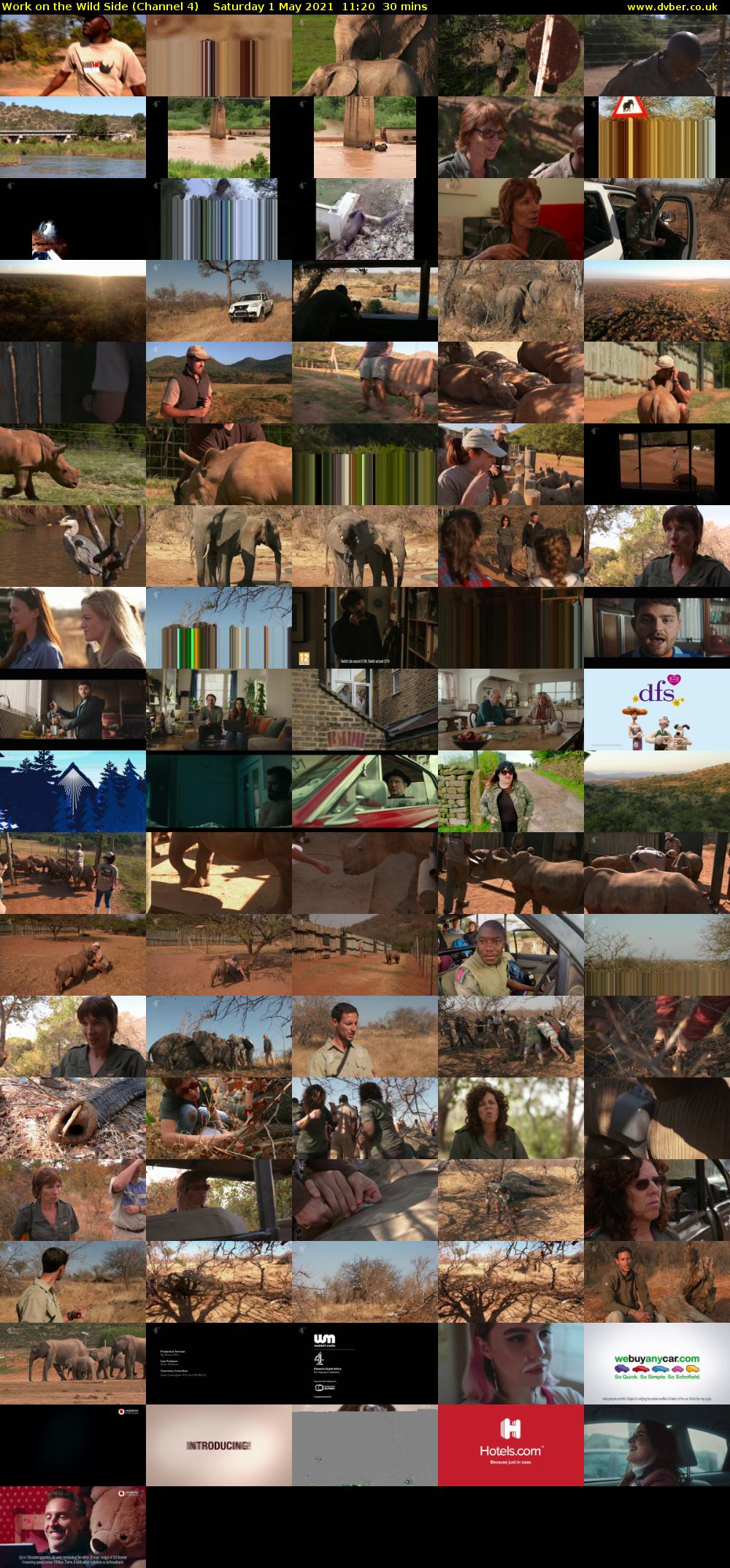 Work on the Wild Side (Channel 4) Saturday 1 May 2021 11:20 - 11:50