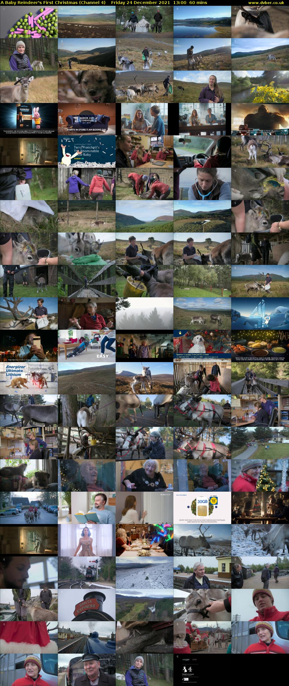 A Baby Reindeer's First Christmas (Channel 4) Friday 24 December 2021 13:00 - 14:00