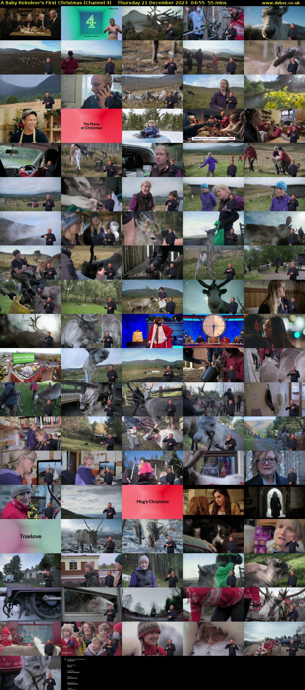 A Baby Reindeer's First Christmas (Channel 4) Thursday 21 December 2023 04:55 - 05:50