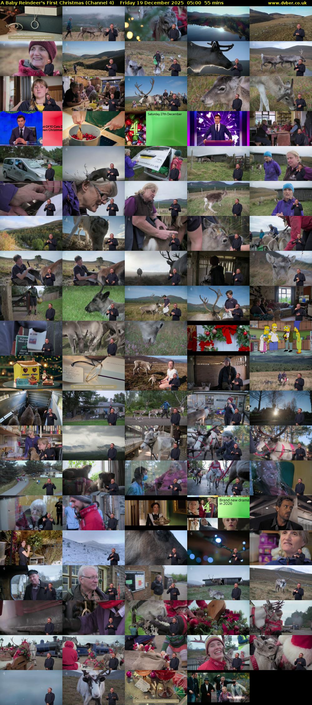 A Baby Reindeer's First Christmas (Channel 4) Friday 19 December 2025 05:00 - 05:55