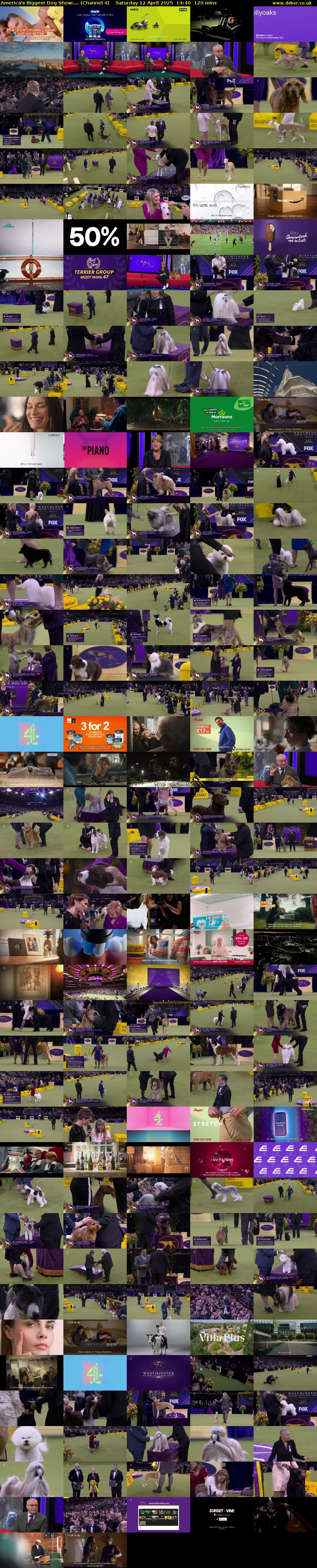 America's Biggest Dog Show:... (Channel 4) Saturday 12 April 2025 14:40 - 16:40