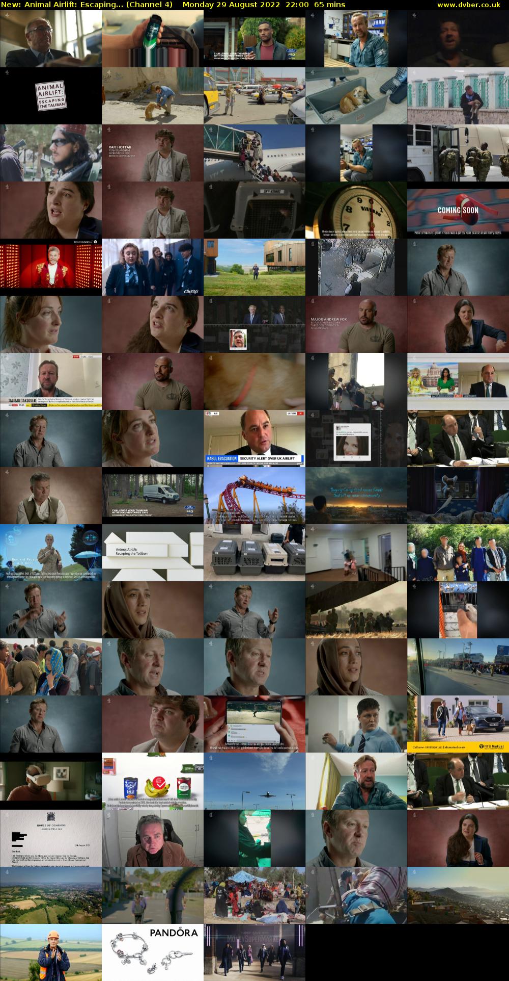 Animal Airlift: Escaping... (Channel 4) Monday 29 August 2022 22:00 - 23:05