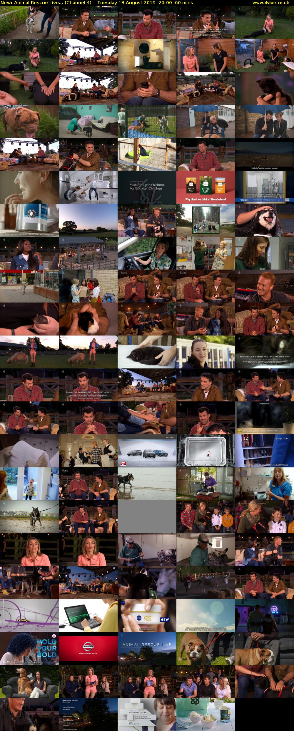 Animal Rescue Live... (Channel 4) Tuesday 13 August 2019 20:00 - 21:00