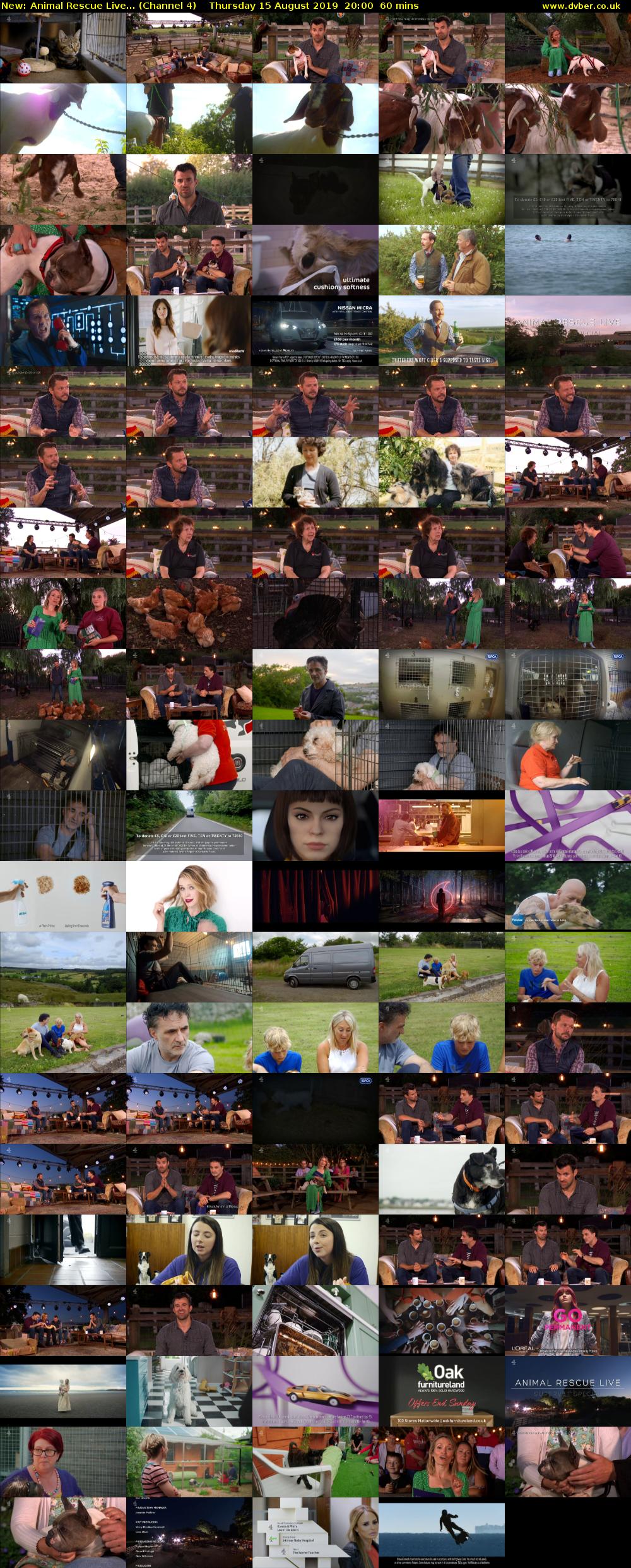 Animal Rescue Live... (Channel 4) Thursday 15 August 2019 20:00 - 21:00