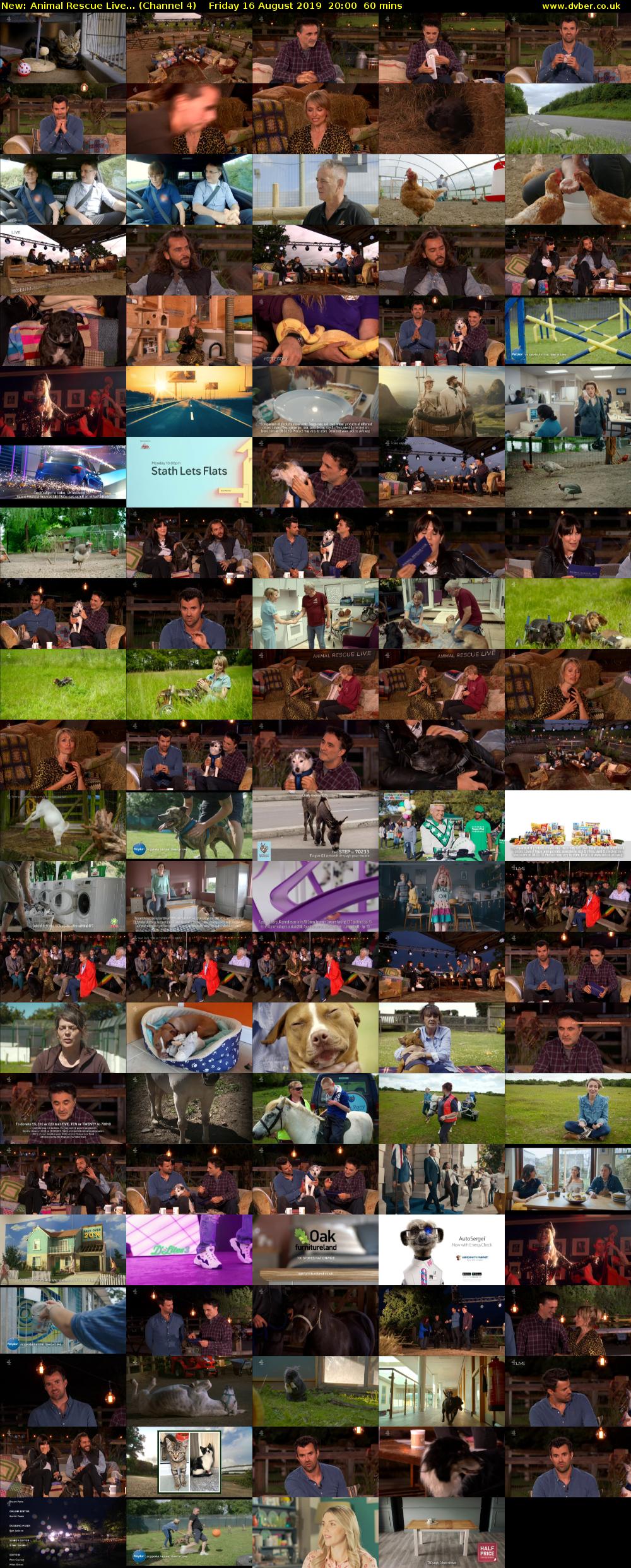 Animal Rescue Live... (Channel 4) Friday 16 August 2019 20:00 - 21:00