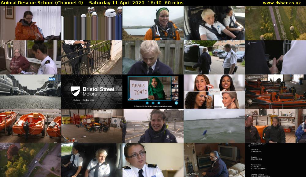 Animal Rescue School (Channel 4) Saturday 11 April 2020 16:40 - 17:40