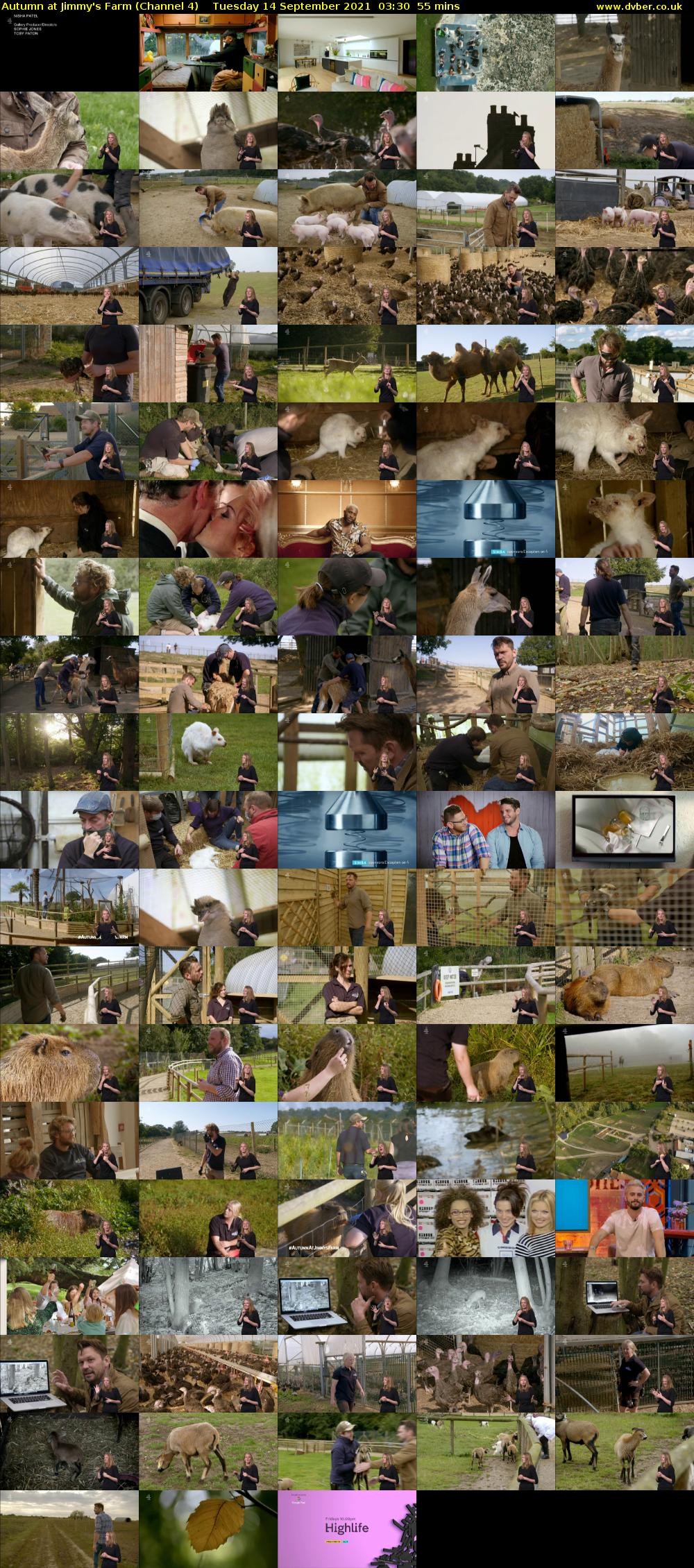 Autumn at Jimmy's Farm (Channel 4) Tuesday 14 September 2021 03:30 - 04:25