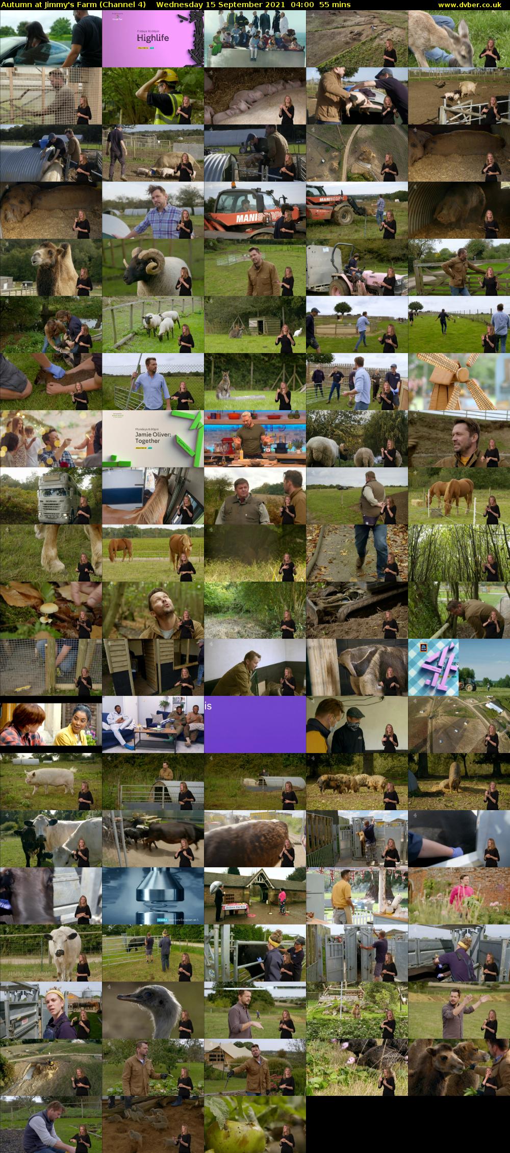Autumn at Jimmy's Farm (Channel 4) Wednesday 15 September 2021 04:00 - 04:55
