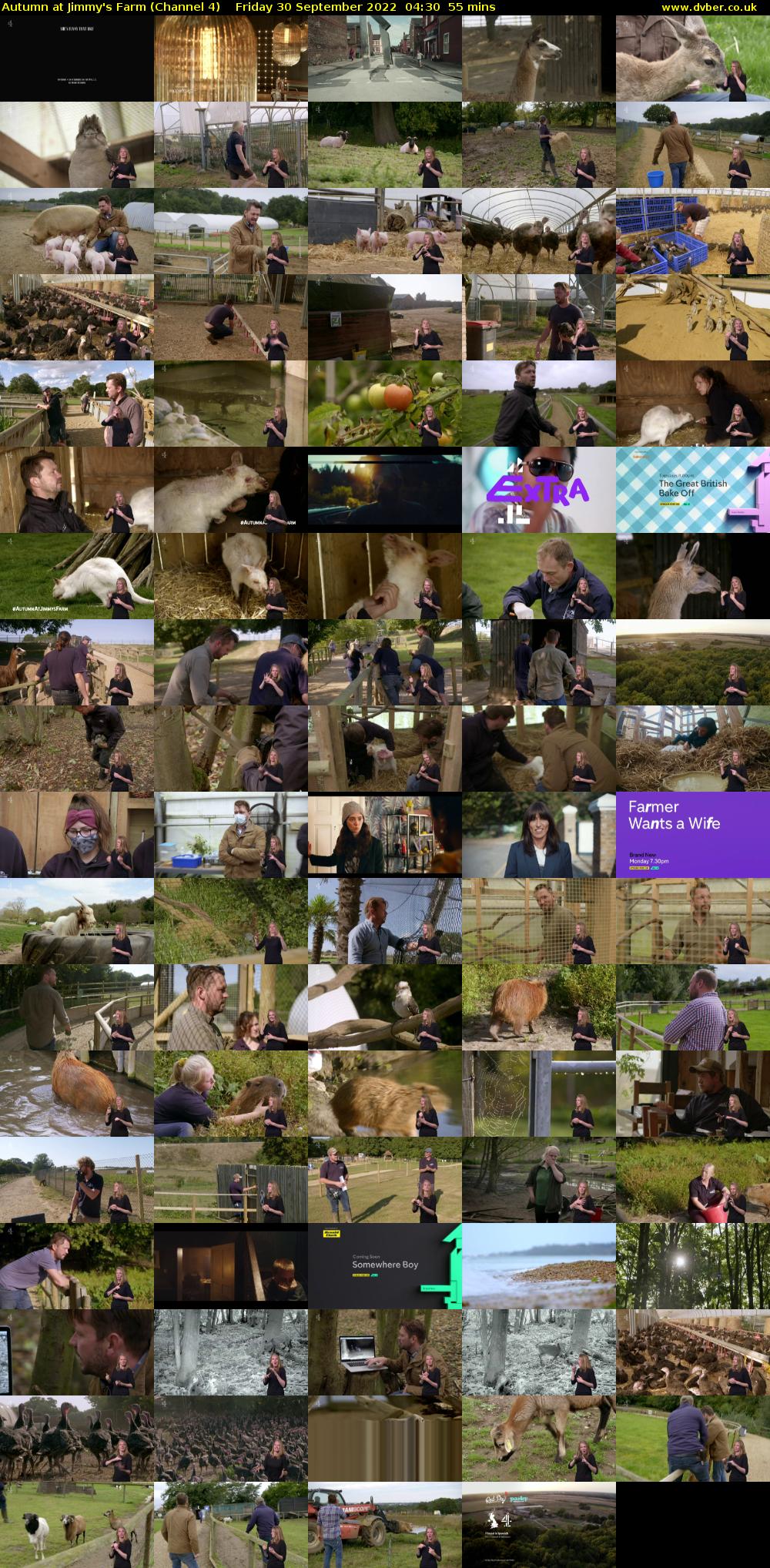 Autumn at Jimmy's Farm (Channel 4) Friday 30 September 2022 04:30 - 05:25