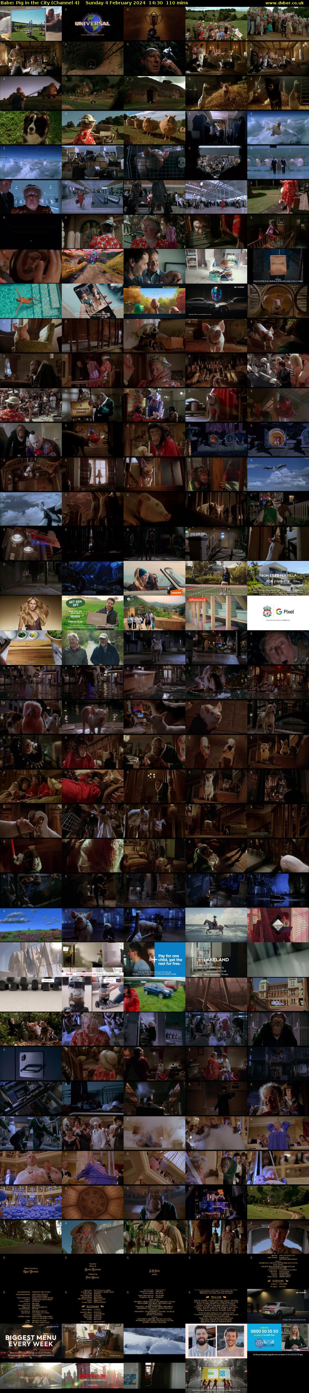 Babe: Pig in the City (Channel 4) Sunday 4 February 2024 14:30 - 16:20