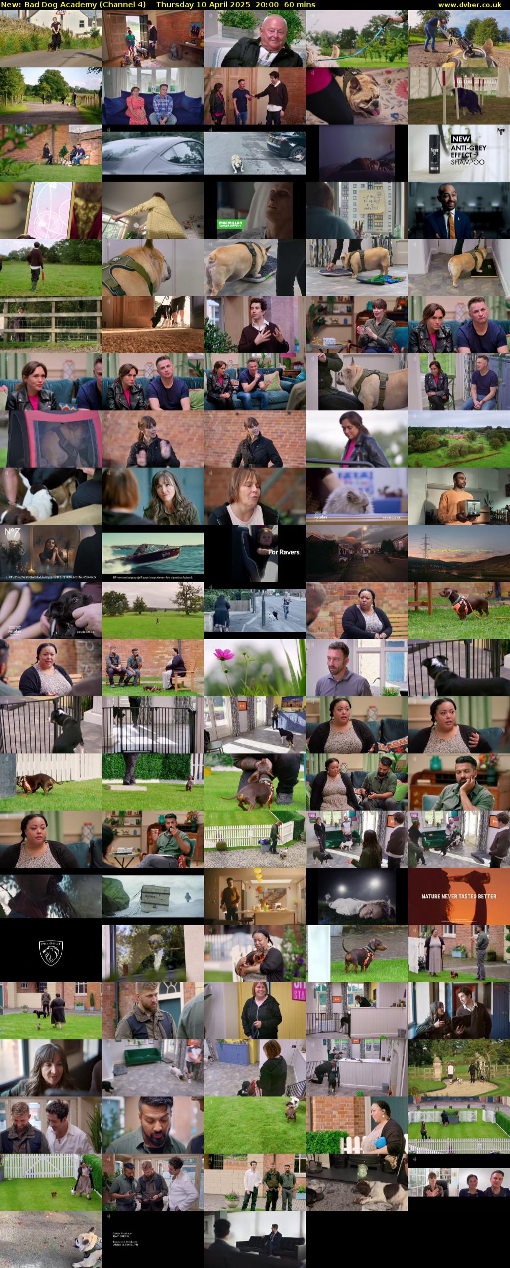 Bad Dog Academy (Channel 4) Thursday 10 April 2025 20:00 - 21:00