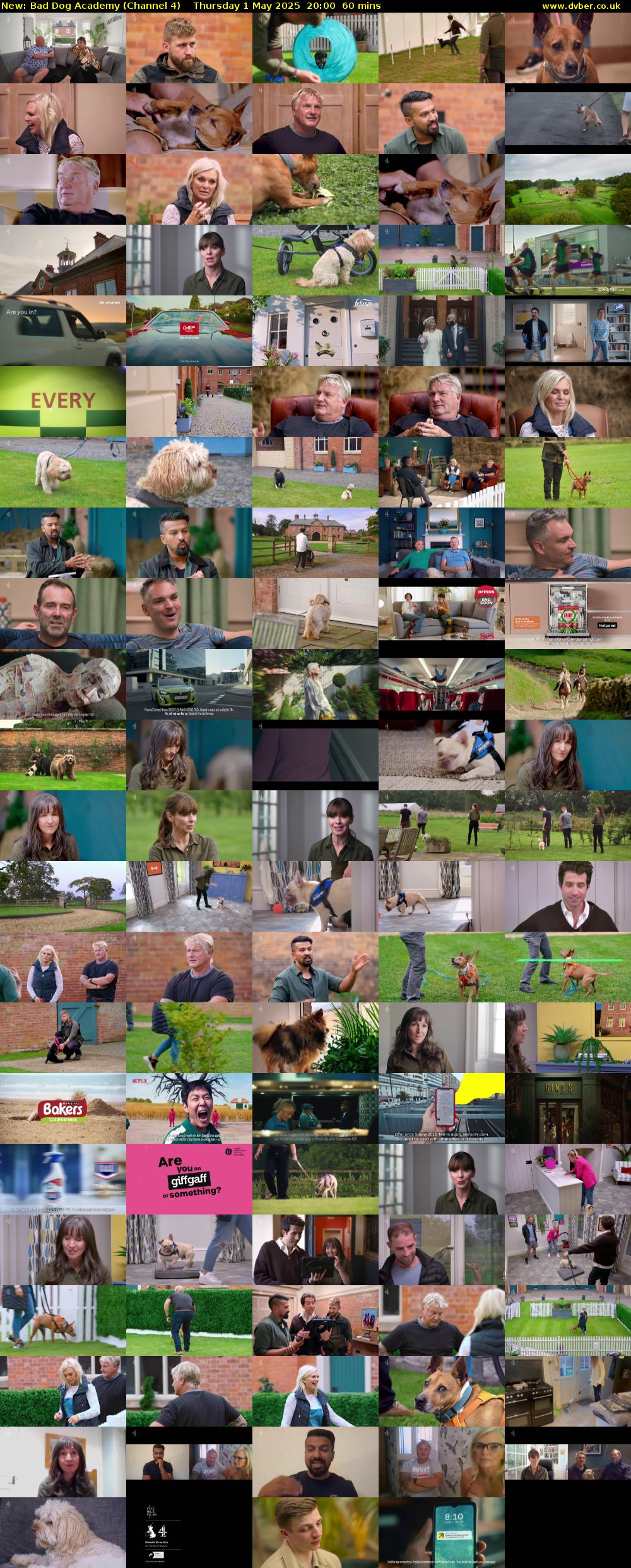 Bad Dog Academy (Channel 4) Thursday 1 May 2025 20:00 - 21:00