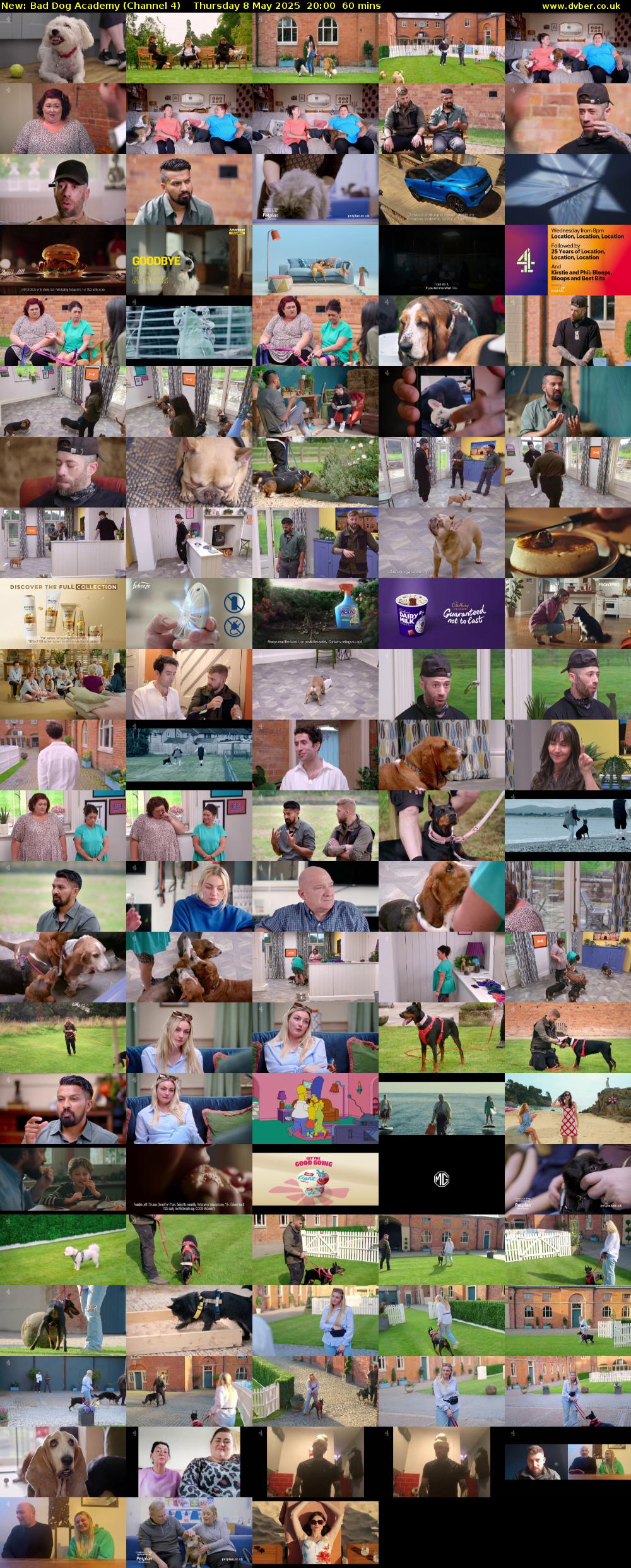 Bad Dog Academy (Channel 4) Thursday 8 May 2025 20:00 - 21:00