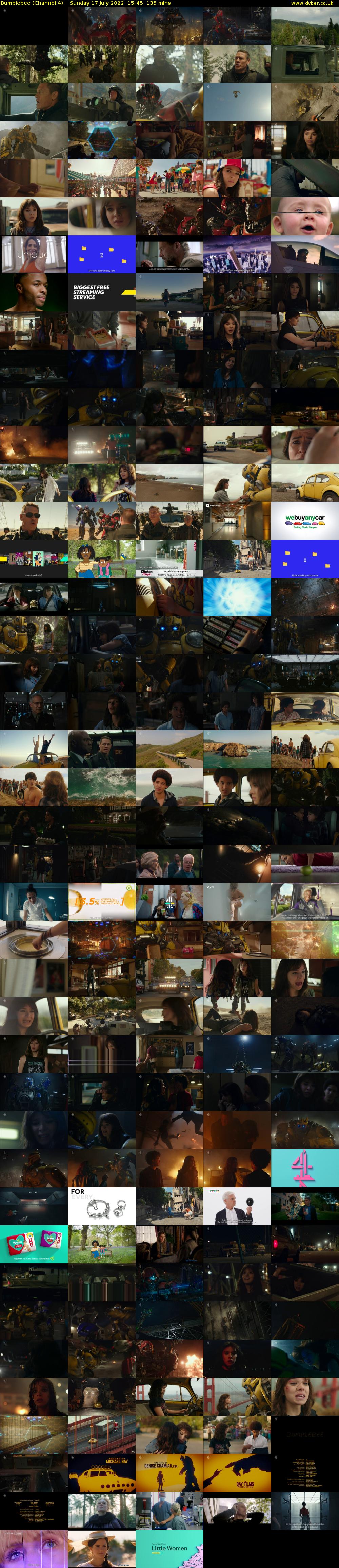 Bumblebee (Channel 4) Sunday 17 July 2022 15:45 - 18:00