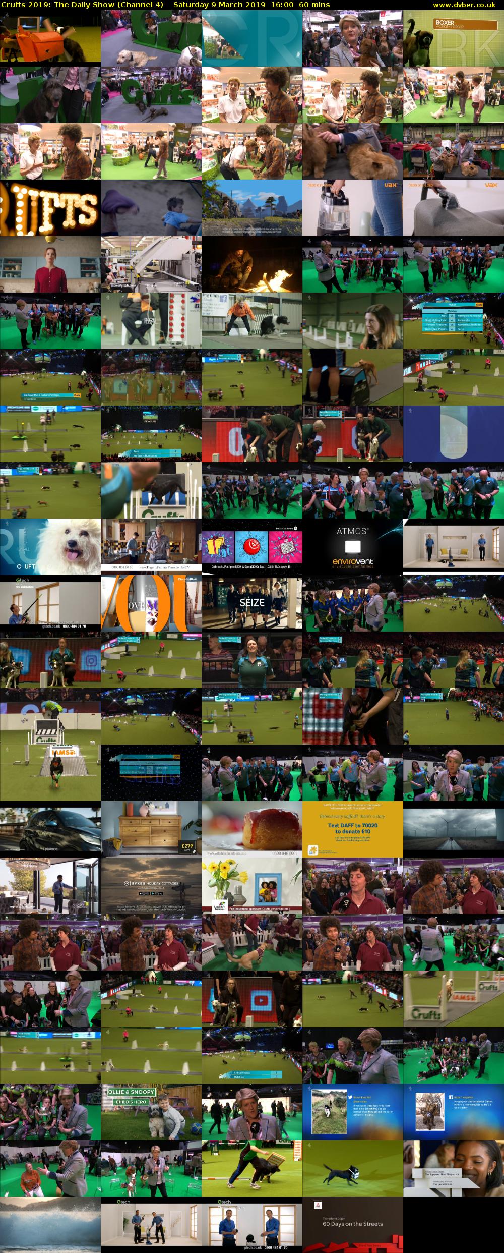 Crufts 2019: The Daily Show (Channel 4) Saturday 9 March 2019 16:00 - 17:00