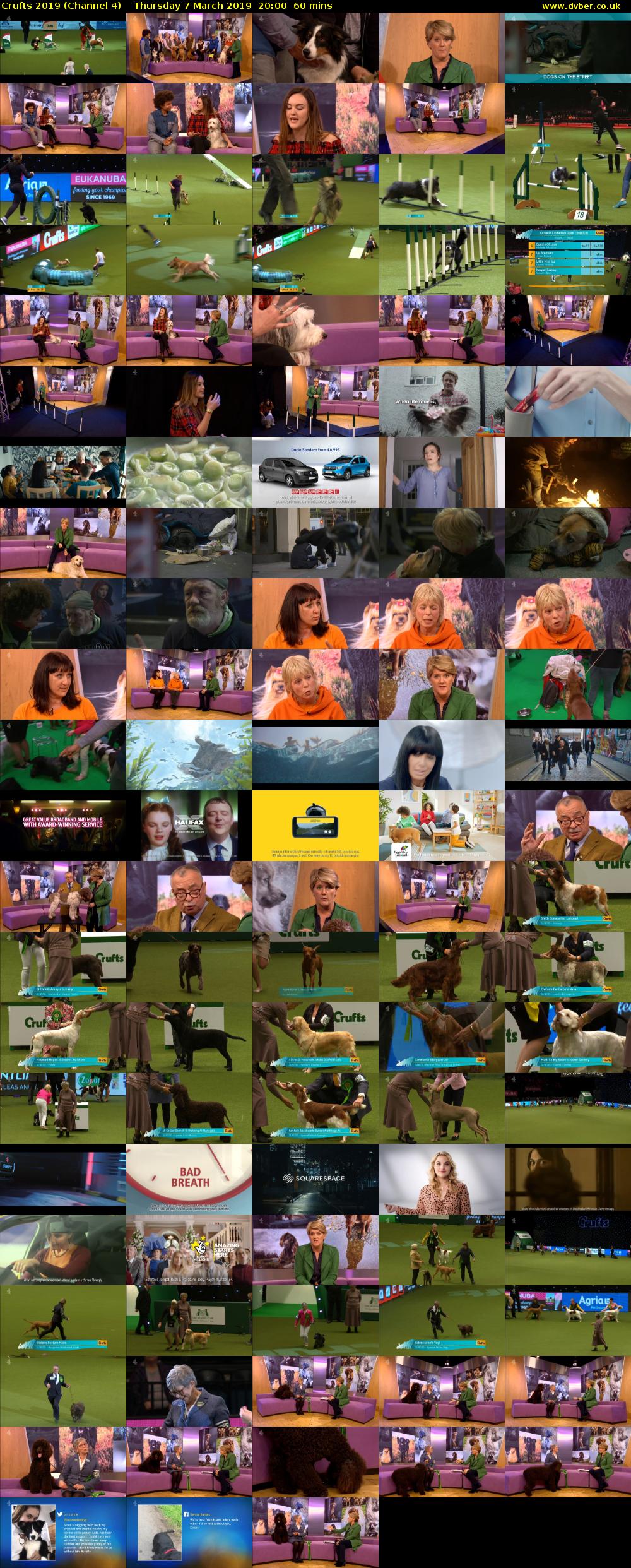 Crufts 2019 (Channel 4) Thursday 7 March 2019 20:00 - 21:00