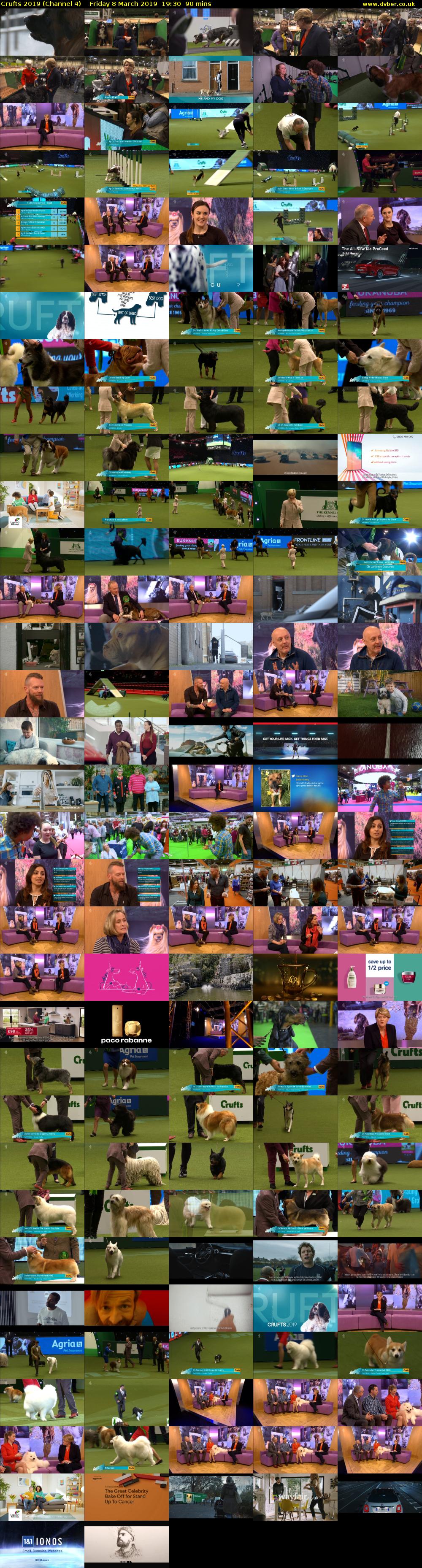 Crufts 2019 (Channel 4) Friday 8 March 2019 19:30 - 21:00