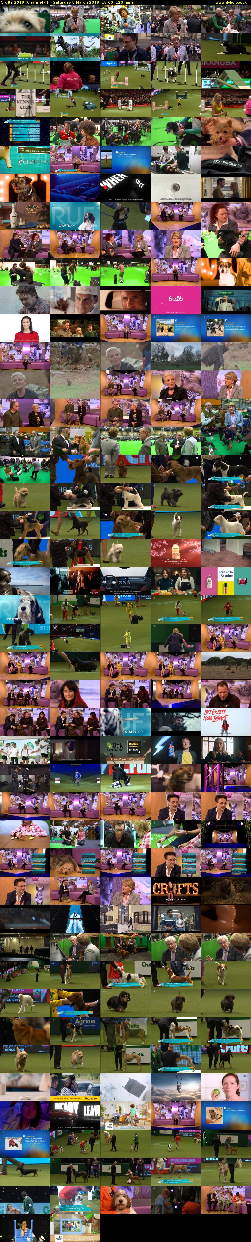 Crufts 2019 (Channel 4) Saturday 9 March 2019 19:00 - 21:00