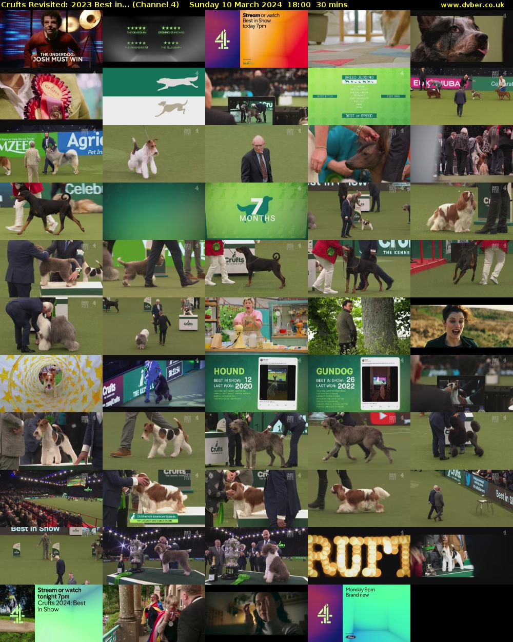 Crufts Revisited: 2023 Best in... (Channel 4) Sunday 10 March 2024 18:00 - 18:30