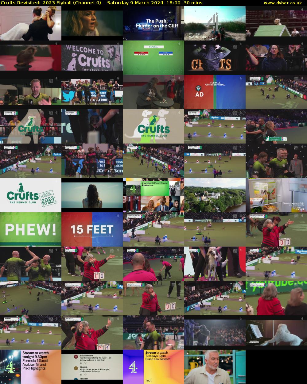 Crufts Revisited: 2023 Flyball (Channel 4) Saturday 9 March 2024 18:00 - 18:30