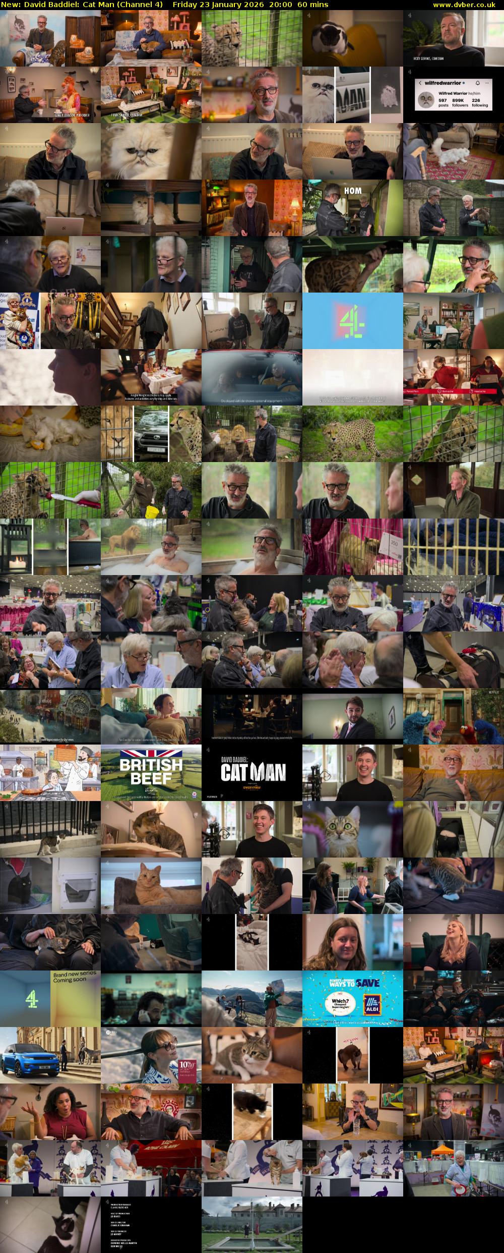 David Baddiel: Cat Man (Channel 4) Friday 23 January 2026 20:00 - 21:00