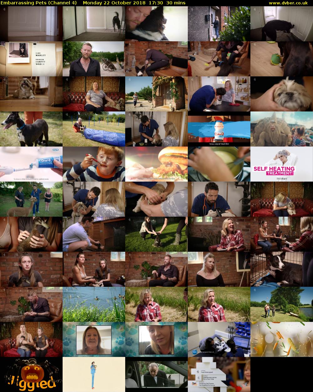 Embarrassing Pets (Channel 4) Monday 22 October 2018 17:30 - 18:00