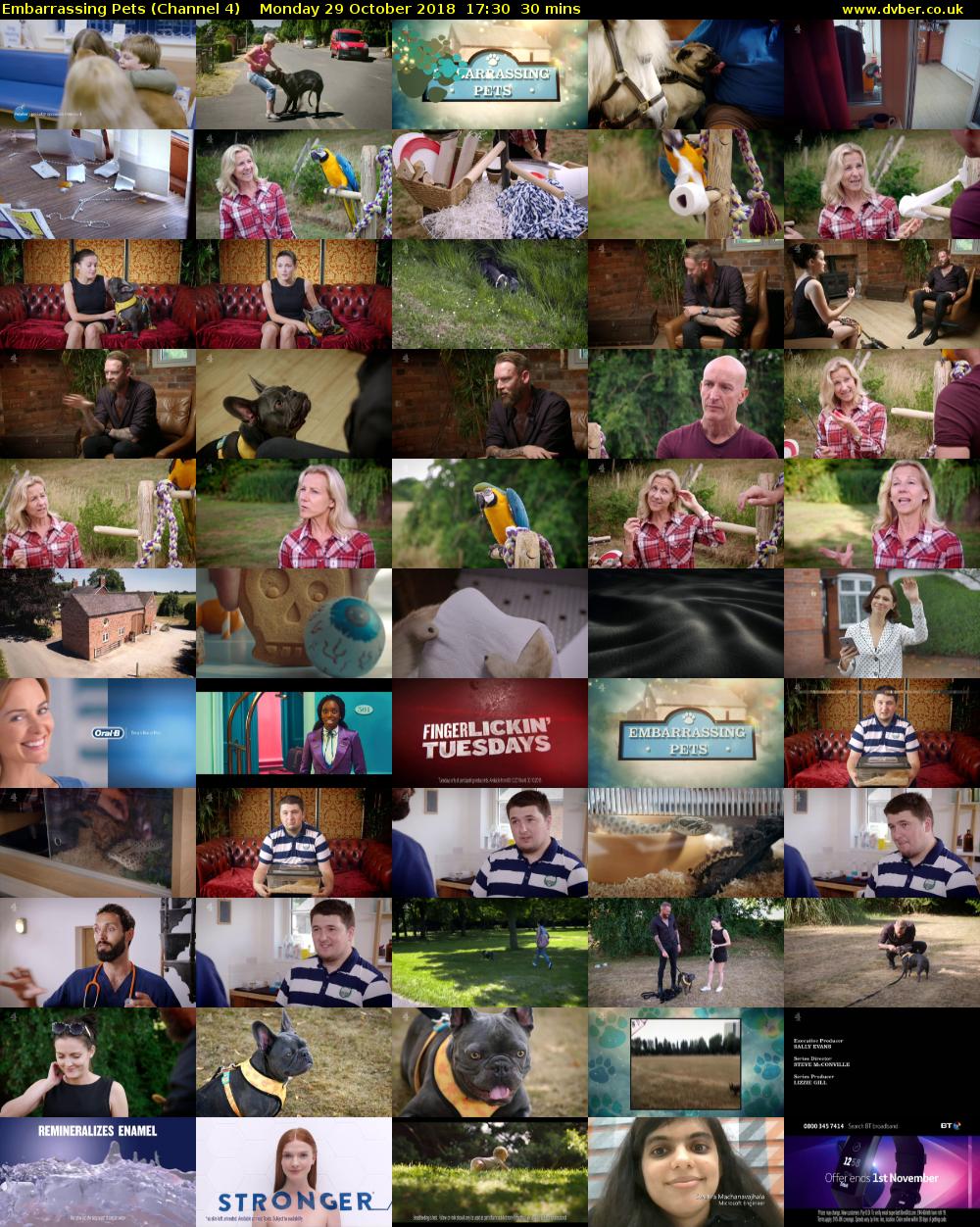 Embarrassing Pets (Channel 4) Monday 29 October 2018 17:30 - 18:00