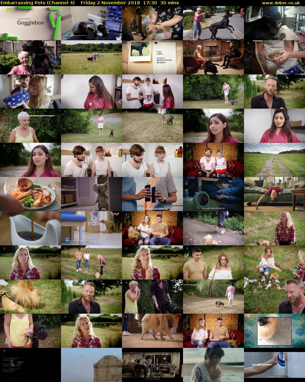 Embarrassing Pets (Channel 4) Friday 2 November 2018 17:30 - 18:00