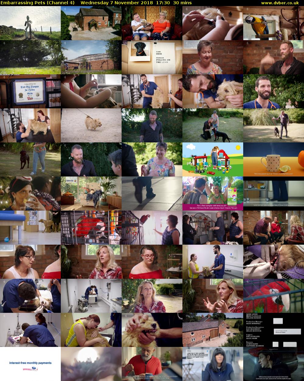 Embarrassing Pets (Channel 4) Wednesday 7 November 2018 17:30 - 18:00