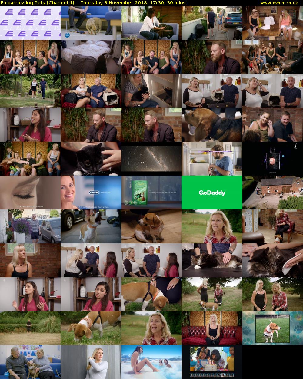 Embarrassing Pets (Channel 4) Thursday 8 November 2018 17:30 - 18:00