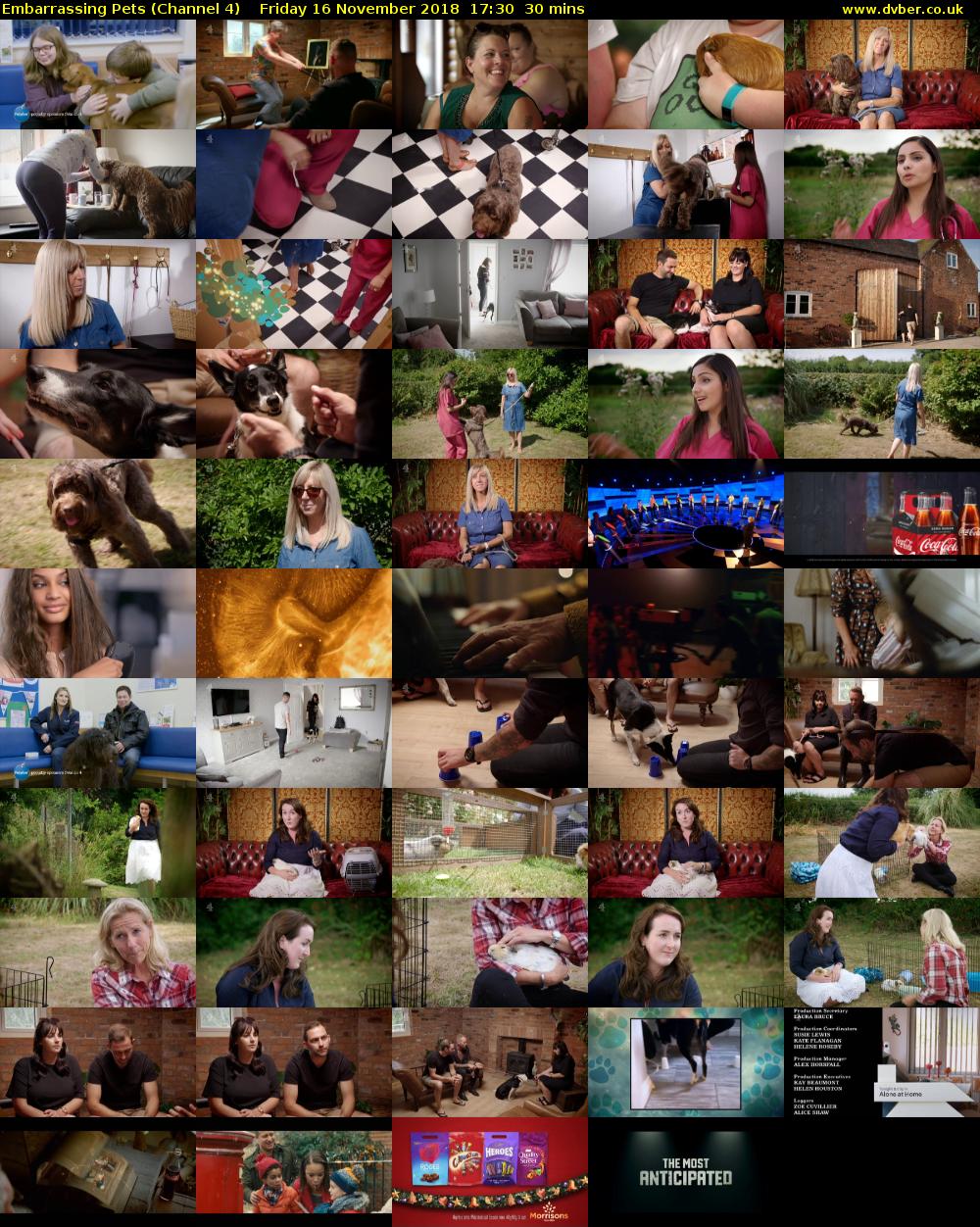Embarrassing Pets (Channel 4) Friday 16 November 2018 17:30 - 18:00