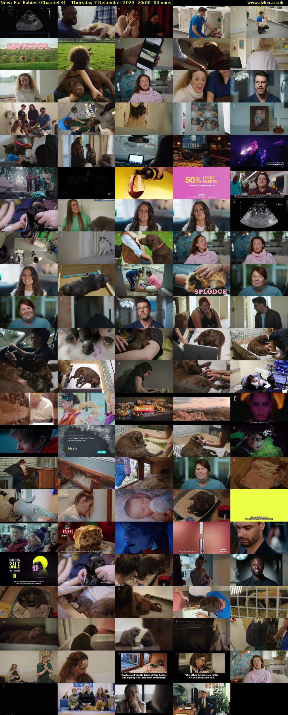 Fur Babies (Channel 4) Thursday 7 December 2023 20:00 - 21:00