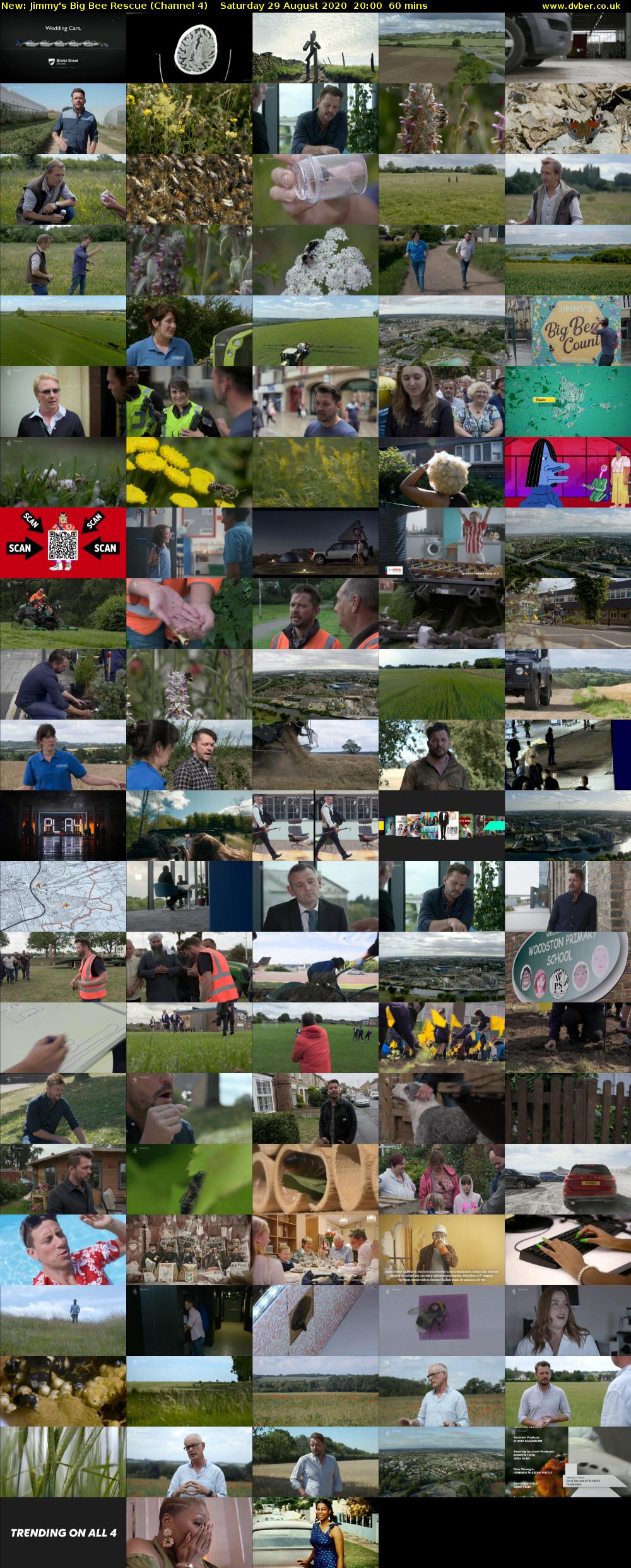 Jimmy's Big Bee Rescue (Channel 4) Saturday 29 August 2020 20:00 - 21:00