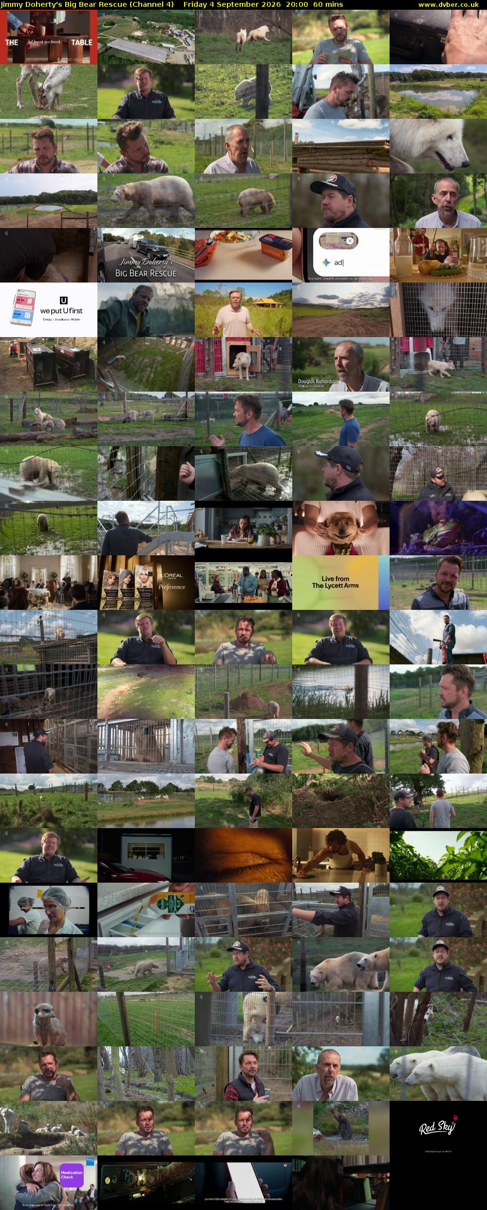 Jimmy Doherty's Big Bear Rescue (Channel 4) Friday 4 September 2026 20:00 - 21:00